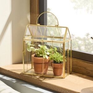 Small Scalloped Brass Decorative Glass Greenhouse - Hearth & Hand™ with Magnolia